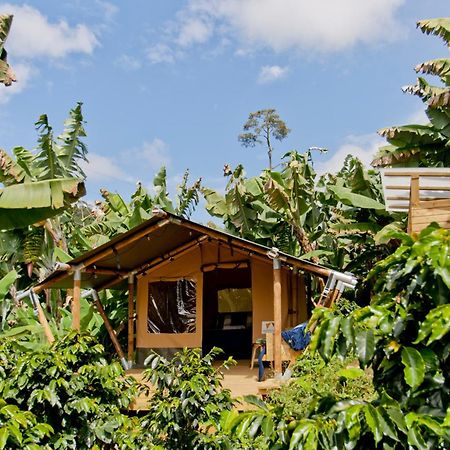 Отель Glamping Хардин Экстерьер фото